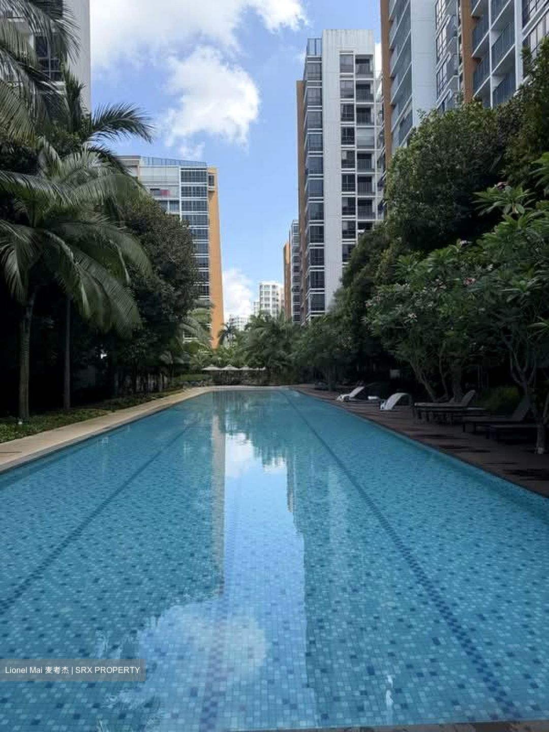 Coco Palms (D18), Condominium #564722161